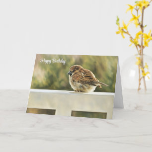 Cartão Sparrow on the Rail - Birthday Card