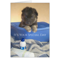 Special Day, Puppies Bath Time