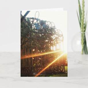 Cartão "Special Delivery" Get Well Card