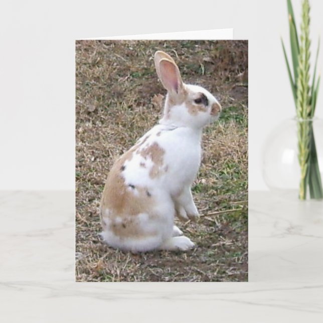 Cartão Speckled Bunny Rabbit greeting card (Frente)