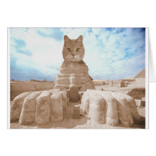 Cartão SphinxCat