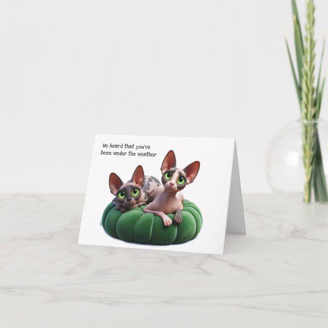 Cartão Sphynx Anime A Ficha De Saudação (Frente)