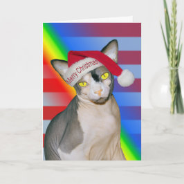 Cartão Sphynx Cat Ninja Papai noel Natal Rainbow