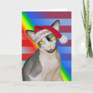 Cartão Sphynx Cat Ninja Papai noel Natal Rainbow