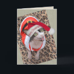 Cartão Sphynx Cat Ninja Santa Christmas<br><div class="desc">Sphynx Cat Ninja Santa Christmas Card.</div>