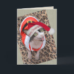 Cartão Sphynx Cat Ninja Santa Christmas<br><div class="desc">Sphynx Cat Ninja Santa Christmas Card.</div>