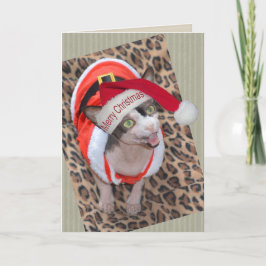 Cartão Sphynx Cat Ninja Santa Christmas