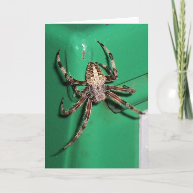 Cartão Spider 7704 - Vertical (Frente)