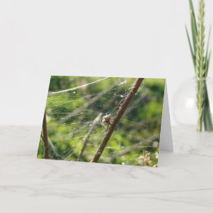 Cartão Spider Web Bokeh