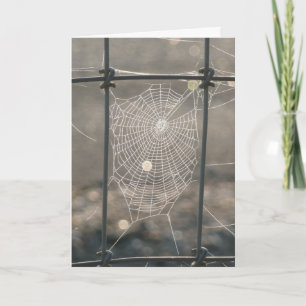 Cartão Spider Web Card