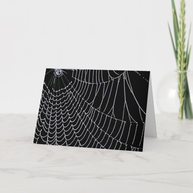 Cartão Spider's Web | Greeting Cards (Frente)