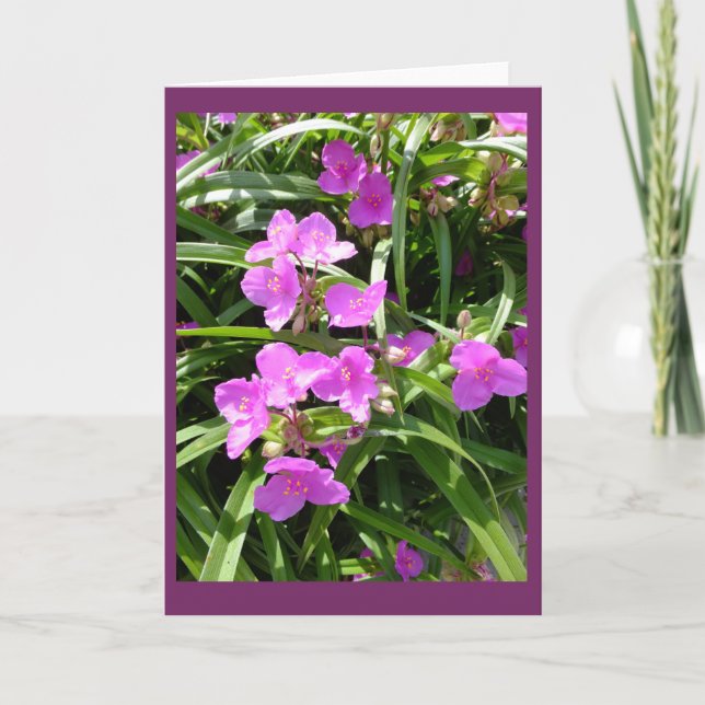 Cartão Spiderwort Flowers II Blank Note Card (Frente)
