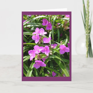 Cartão Spiderwort Flowers II Blank Note Card