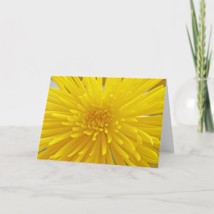 Cartão Spiky Yellow Dahlia Close Up Photograph Template