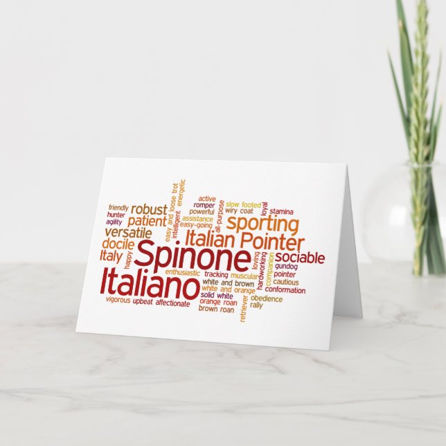 Cartão Spinone Italiano (Frente)