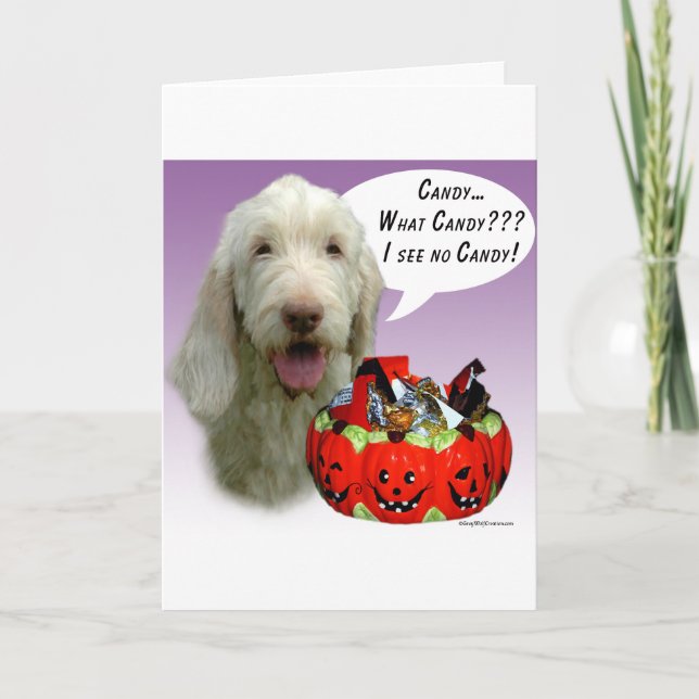 Cartão Spinone Italiano Halloween Candy (Frente)