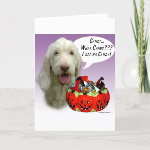 Cartão Spinone Italiano Halloween Candy