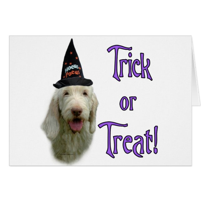 Cartão Spinone Italiano Trick (Frente Horizontal)