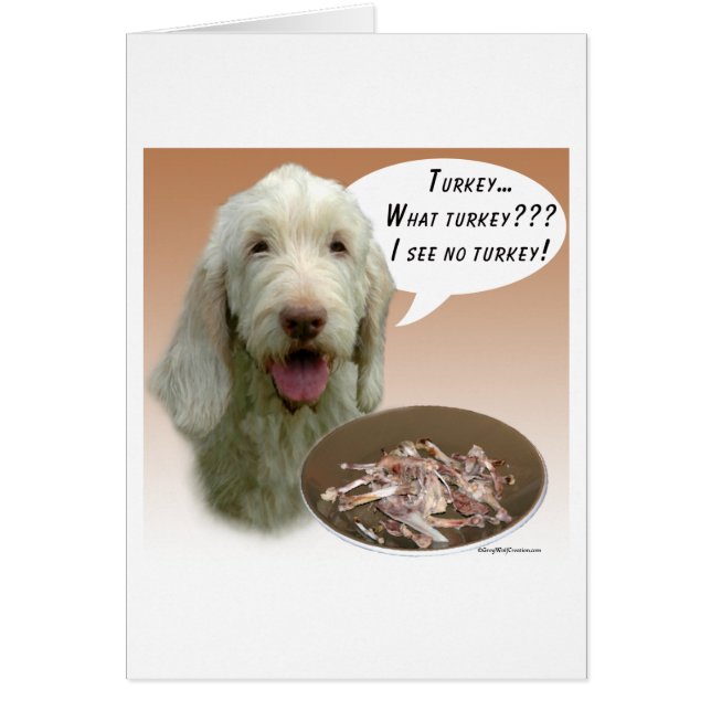 Cartão Spinone Italiano Turquia (Frente)