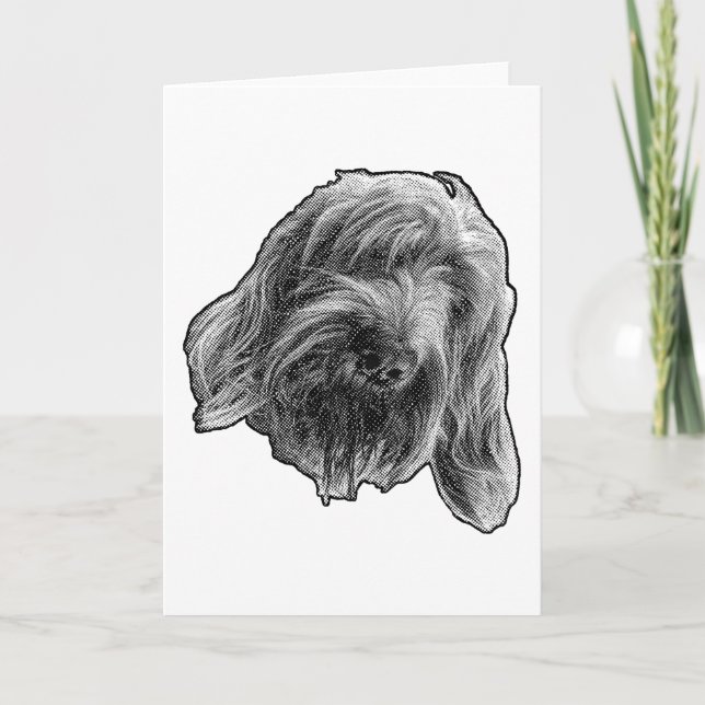 Cartão Spinone Warm Hello (Frente)