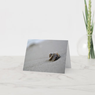 Cartão Spiral Seashell Beach Note Card