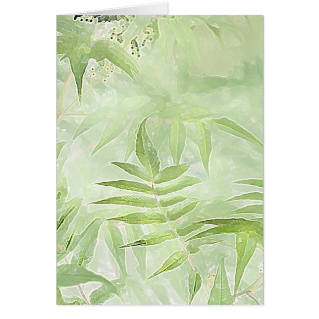 Cartão Spirea Leaves - Digital Art Card (Frente)