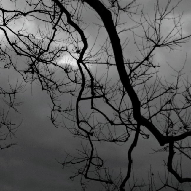 CARTÃO SPOOKY TREES FELIZMENTE METADE VOLTADA (Criador carregado)