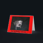 Cartão Spotted Advise<br><div class="desc">Birthday card</div>