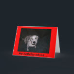 Cartão Spotted Advise<br><div class="desc">Birthday card</div>