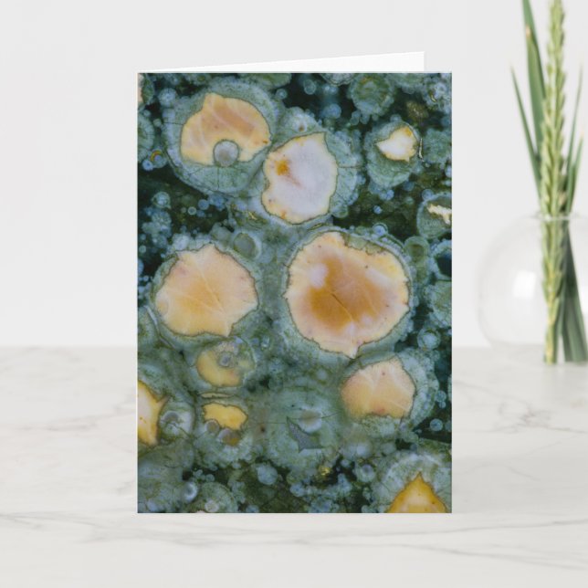 Cartão Spotted Ocean Jasper (Frente)