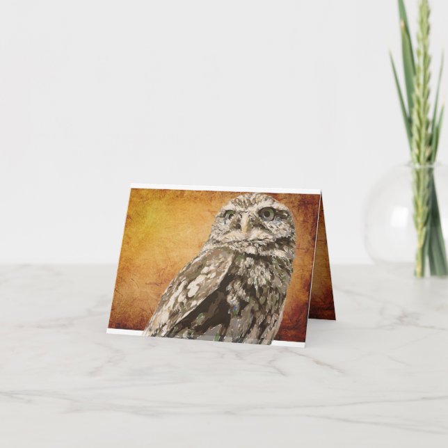 Cartão Spotted Owl Notecard (Frente)