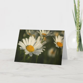 Cartão Spring Blooms