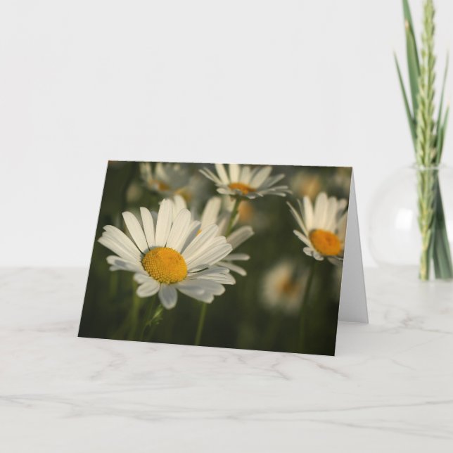 Cartão Spring Blooms (Frente)