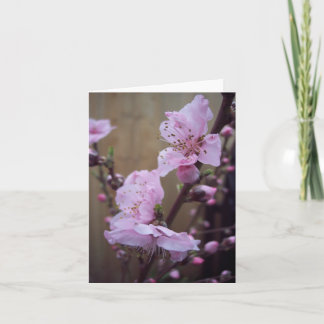 Cartão Spring Blossom Blank Note Card
