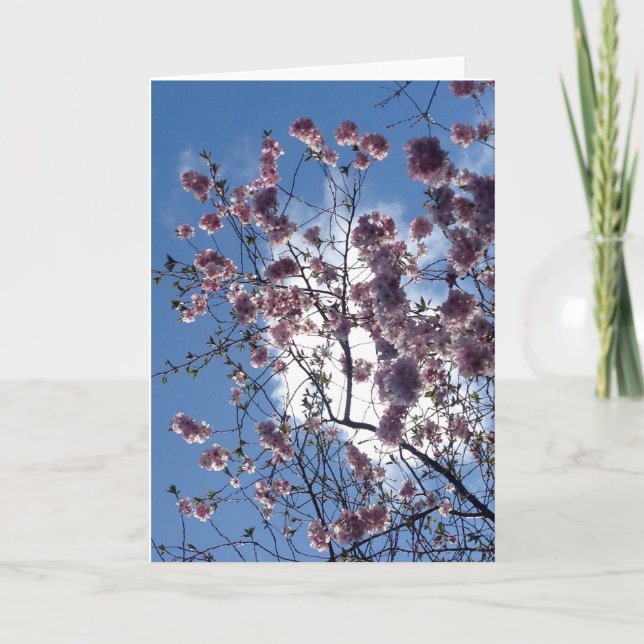 Cartão Spring blossom from Loch Ness Greeting Card (Frente)