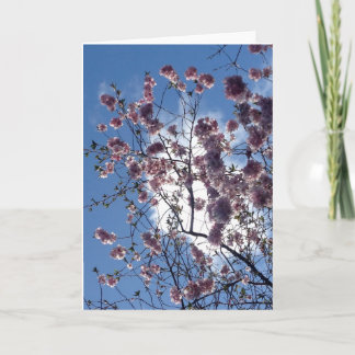 Cartão Spring blossom from Loch Ness Greeting Card