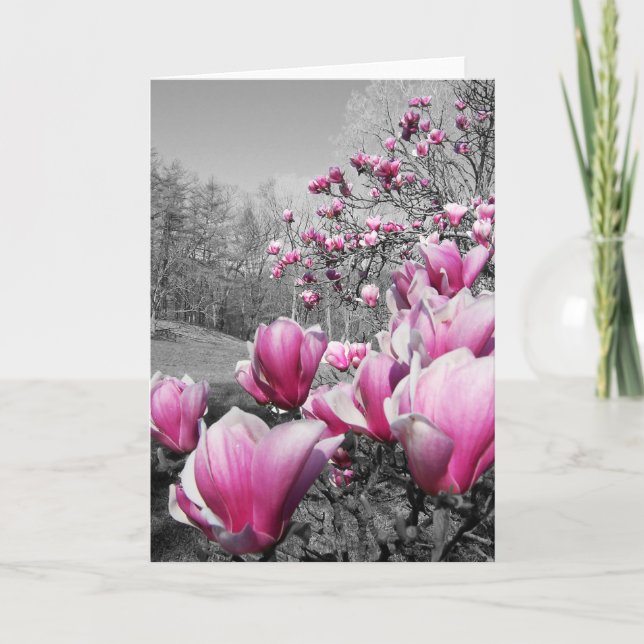 Cartão Spring Blossoms (Frente)