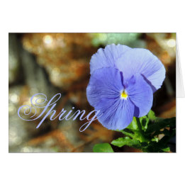 Cartão Spring Blue Pansy Any Occasion Card