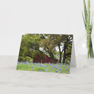 Cartão Spring Bluebonnets in Johnson City, Texas