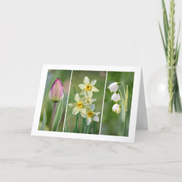 Cartão 'Spring Flowers' blank greeting card