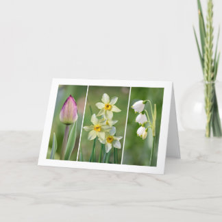 Cartão 'Spring Flowers' blank greeting card