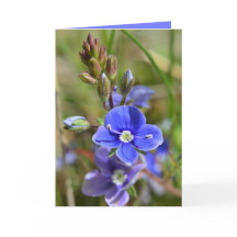 Spring Flowers Greeting Card