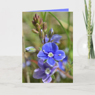Cartão Spring Flowers Greeting Card