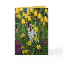 Spring Flowers Greeting Card