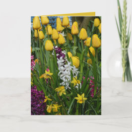 Cartão Spring Flowers Greeting Card