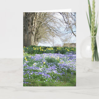 Cartão Spring Flowers Greetings Card