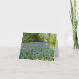 Cartão Spring flowers - River of Hyacinths