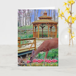 Cartão Spring Gazebo Deer & Fawn