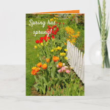 Spring has sprung, pretty spring garden,