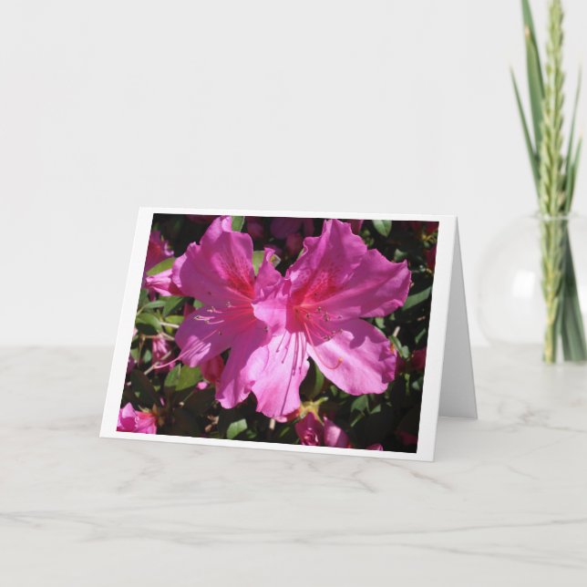 Cartão Spring Note Card (Frente)